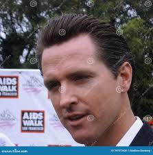 1,521 Gavin Fotos de stock