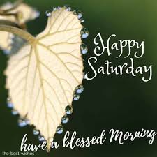 100 Best Good Morning Saturday Images Greetings And Wishes Good morning quotes, wishes, messages pictures, inspirational, thoughts, greetings wallpapers, motivational happy morning status text messages, shayari, good morning messages happy saturday! 100 best good morning saturday images