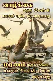 Best collection of tamil kavithai status video for whatsapp status, download high quality kavithai status videos in tamil for 30 seconds whatsapp status. 100 Best Tamil Whatsapp Status Download Video Status 2021 à¤°à¤• à¤· à¤¬ à¤§à¤¨ 2021