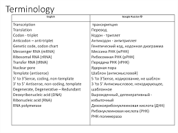 transcription and translation and the genetic code