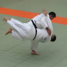 Nach 70 tagen im koma beendeten die eltern die lebenserhaltenden maßnahmen. Wurftechnik Kampfsport Wikiwand