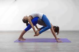 2 two person yoga poses. How Much Is The Contribution Of A Yoga Trainer In Your Fitness Hot Yoga And Pilates