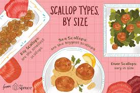 A Guide To Buying Fresh Scallops