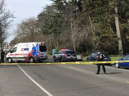 Over the time it has been ranked as high as 13 897 199 in the world. Followup Beach Drive Crash Victim Identified As Retired Fire Captain West Seattle Blog