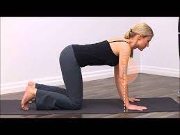 Choose from a wide range of similar scenes. Upper Spine Exercise Quadruped Cat And Camel Backandneck Ca Youtube