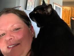 Our all black cat is missing