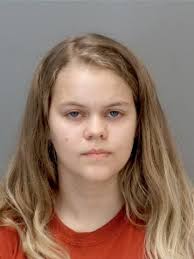 Michigan State students charged with false terror threat