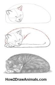 Dimassbp I Will Draw A Realistic Pencil Portrait From Your Photo For 5 On Fiverr Com Cat Drawing Tutorial Sleeping Drawing Cat Art