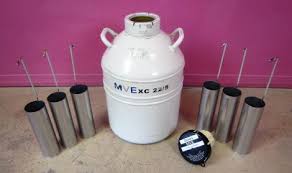 Used Mve Chart Xc 22 5 Liquid Nitrogen 22 Liter Semen Storage Vessel Cryo Tank Dewar Freezer Cryogen For Sale Dotmed Listing 2671922