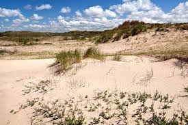 ⬇ download duinen stockfoto's bij het beste stockbureau redelijke prijzen miljoenen eersteklas rechtenvrije stockfoto's, afbeeldingen en vectors van hoge kwaliteit. De Duinen Van Het Zand In Zandvoort Aan Zee Stock Afbeelding Image Of Landschap Kust 29616053