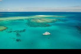Save cstay to your lists. Tauch Und Schnorchelbootstour Im Great Barrier Reef Ab Townsville Oder Mission Beach 2021 Tiefpreisgarantie