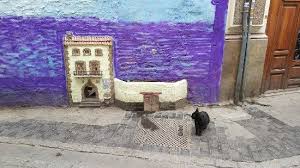 Los vecinos y habituales del popular barrio del carmen la conocen perfectamente, pero son pocos entre el resto de valencianos que sepan que exista o hayan oído hablar de esta. Get 34 Casa De Gatos