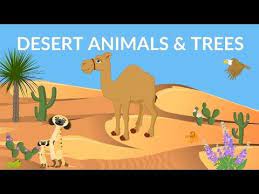 Deserts are hot and dry. Desert Animals And Plants Desert Ecosystem Desert Video For Kids Youtube Desert Animals Desert Animals And Plants Desert Animals Activities