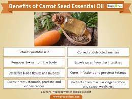 13 Benefits Of Carrot Seed Essential Oil Organic Facts Carrot Seed Essential Oil Carrot Benefits Essential Oil Spray Recipes