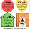 We specialize in mothers and puppies however, we rescue all breeds and ages of canines that have been abandoned, abused, neglected, and in need of rehoming. 1