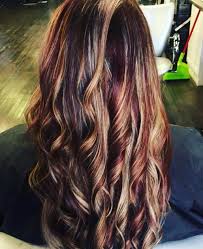 Dark Brown Hair With Caramel And Red Highlights Brown Blonde Hair Black Cherry Hair Black Cherry Hair Color