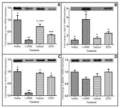 It is an ace inhibitor which allows blood vessels to widen, increasing blood flow, and thereby reducing blood pressure. Molecules Free Full Text Ethanolic Extract Of Salvia Hispanica L Regulates Blood Pressure By Modulating The Expression Of Genes Involved In Bp Regulatory Pathways Html