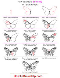 How To Draw A Butterfly Step By Step Tutorial Butterfly Drawing Flower Drawing Butterfly Painting The pattern is created not by lines only, but mostly by contrast. butterfly drawing flower drawing