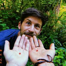 Where Have You Been?