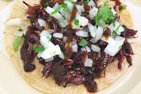 Check spelling or type a new query. Very Important Taco The Chapulines Taco From Aqui Es Texcoco Restaurants Sandiegomagazine Com
