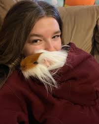 Geoffrey had to be put to sleep tonight. I'm absolutely heartbroken 💔 :  r/guineapigs