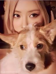 Rosé Season's Greetings: From Hank @ Rosé To You 2024