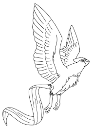 You have chance to travel through fantasy world of hundreds of pokemon characters: Articuno Pokemon Bird Coloring Page Coloring Sun Articuno Pokemon Bird Coloring Pages Bird Pokemon