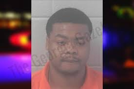 Deshawn Grayson : https://thegeorgiagazette.com/newton/deshawn-grayson-3/