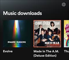 How To Download Music From Spotify For Offline Playback