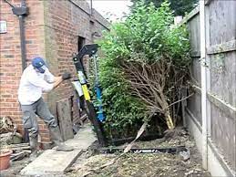 Anatyu standing plant root remover,weed puller tool garden stand up weeder with claws for dandelion, steel twist hand weed root pulling tool and grabber, picker with 39 long handle. How To Remove Hedges Youtube