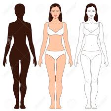 Free download 33 best quality female body silhouette outline at getdrawings. Woman Body Shape Outline And Silhouette Template Full Length Royalty Free Cliparts Vectors And Stock Illustration Image 58727189
