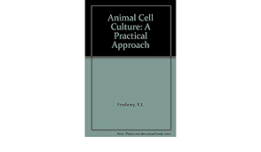 Animal cell culture a practical approach. Animal Cell Culture A Practical Approach Freshney R I Amazon De Bucher