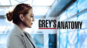 Grey's anatomy saison 14 en streaming. Grey S Anatomy Disney Hotstar Premium