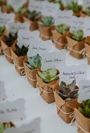 Nature Lover Theme Favors Plant Wedding Favors Botanical Wedding Theme Succulent Wedding Favors