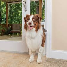 Ultrasonic electronic pest and insect repellent devices claim that their high frequency most doors will come with a doggy door lock out slide which goes into the interior frame. 40 Best Dog Door Brands 2020 Reviews In Walls Screens And Doors