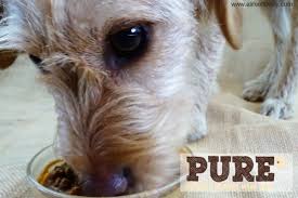 Pure Pet Food For The Pampered Pooch A Life Of Lovely