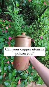 Image result for Copper Poisoning