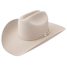 5x Stetson Lariat Felt Cowboy Hat Silver Belly In 2021 Cowboy Hats Felt Cowboy Hats Stetson Cowboy Hats
