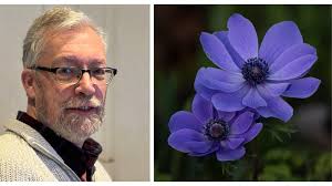 What are the most important keywords in the post that capture the nuances  of the post? The most important keywords in the post are