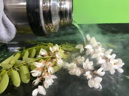 The most common freeze dried flowers material is wood. Freezing A Flower In Liquid Nitrogen Fizzics Education