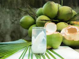 Best coconut water brands 2019. Top 15 Best Coconut Water Brands In 2021 Recommended