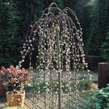 Beautiful small and dwarf weeping trees. Potted Dwarf Weeping Willow Trees On Sale Best Buy Online