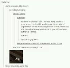 Unpublished Stories From Independent Writers Online Lol Best Description Of Fanfic Ever I Actually Saw This Post Tumblr Funny Funny Funny Tumblr Posts