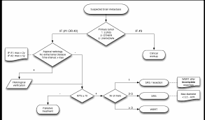 Solved Jamal Drew A Flow Chart To Show How The Carbon In