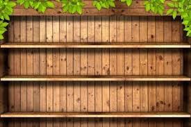 رفوف خشبية خشب النبات 200cm 150cmphotography الخلفيات الخلفيات استوديو الصور جدار من الطوب Ntzc 113 Wooden Books Brick Wall Background Photography Backdrops