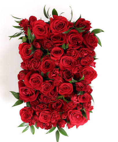Bed of Red Roses