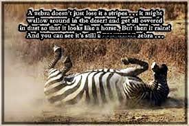 A Zebra Doesn T Just Lose Its Stripes Favorite Quotes Zebra Quotes