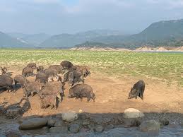 選択してください 北海道 青森県 岩手県 宮城県 秋田県 山形県 福島県 茨城県 栃木県 群馬県 埼玉県. Bihxa V4vdxvhm