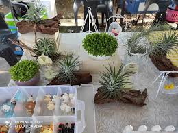 , we are a professional manufacturer for artificial plants, with over 18 years experience we are one of the leading manufacturers of wide range and high quality artificial plants including flowers, potted plants artificial plants, trees, potted plants, flowers, grape, fruit & vegetable, lawn/sward. Mini Potted Plants Home Facebook