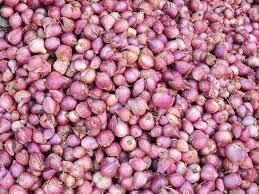 This Type Of Onion Can Help Fight Drug Resistant